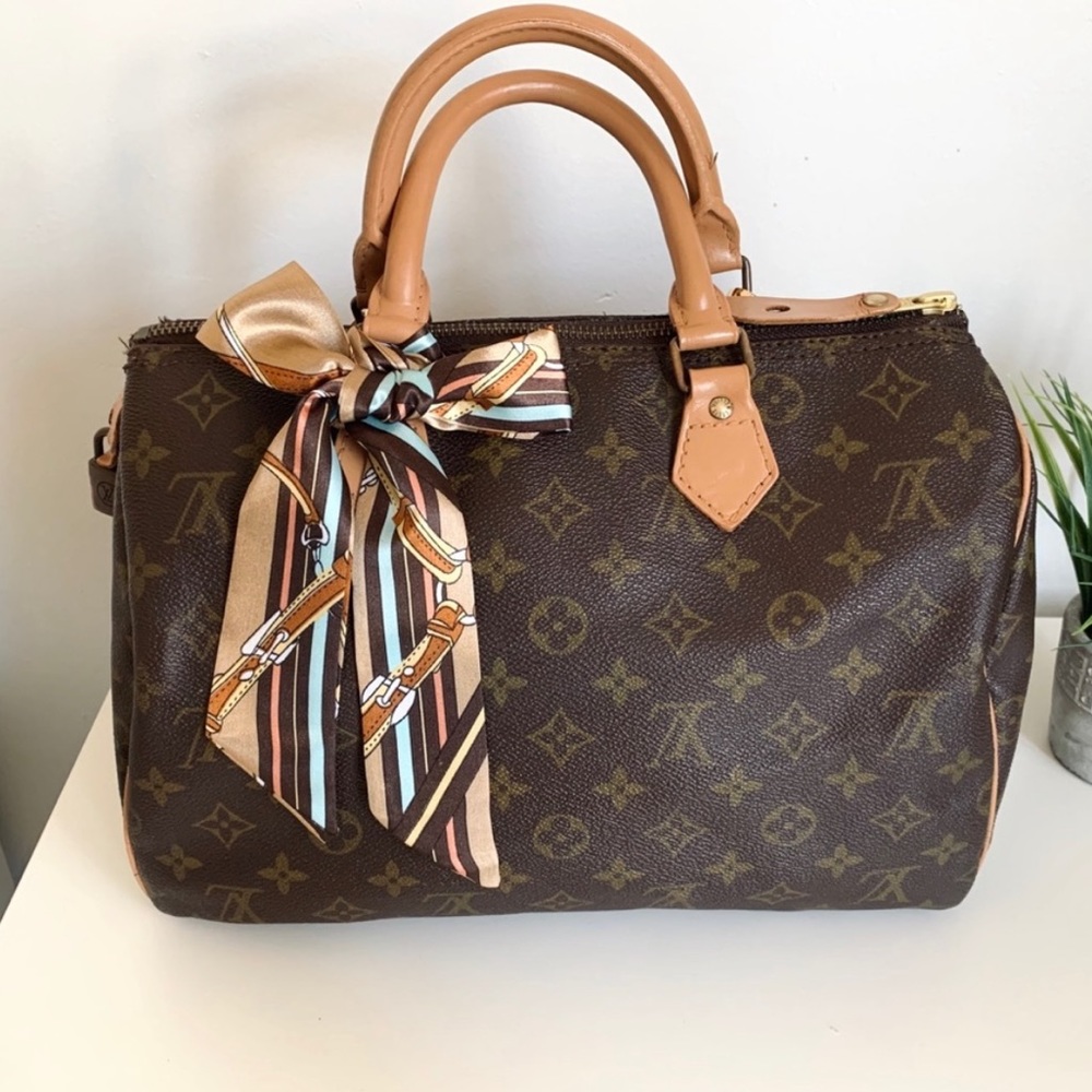 Louis Vuitton Speedy 30 Bag